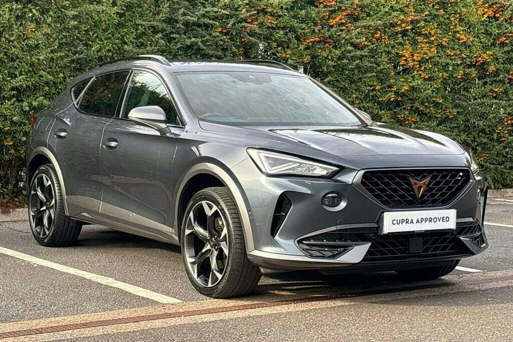 Cupra Formentor 1.5 Tsi V2 Suv Dsg Grey