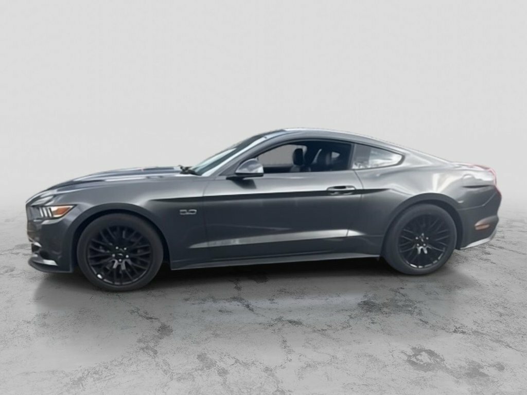 Ford Mustang 5L Gt Grey #3