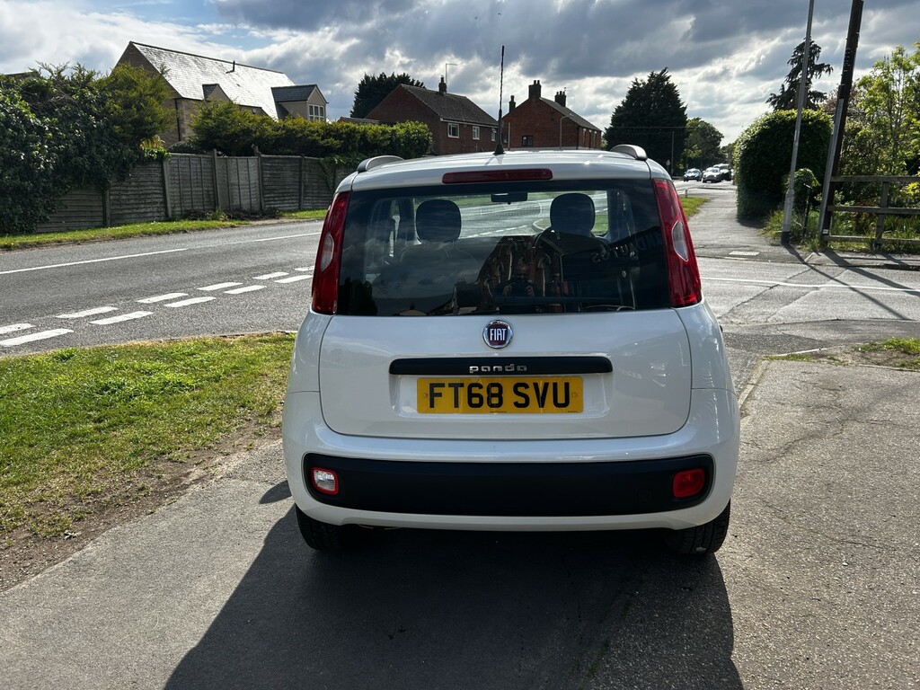 Fiat Panda Hatchback 1.2 1.2 69Hp Easy 2019 White #4