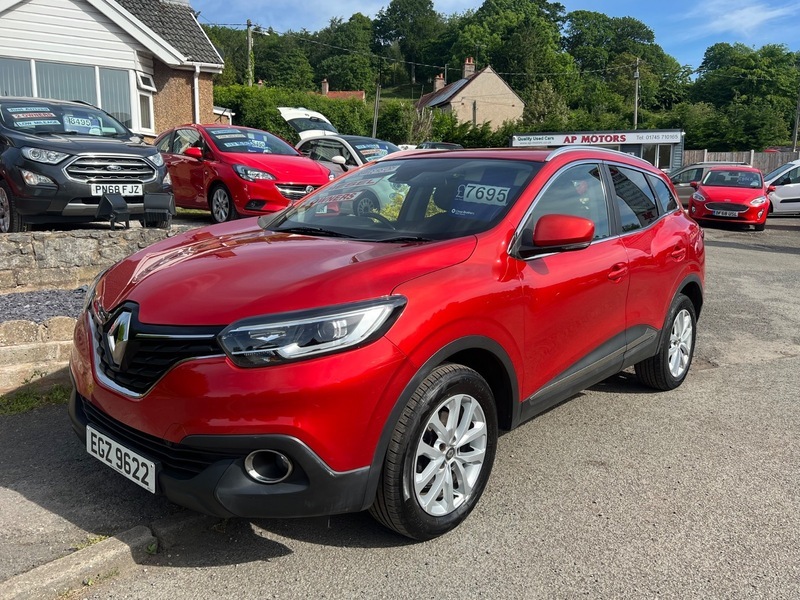 Renault Kadjar Dynamique Nav Dci EGZ9622 Red #3