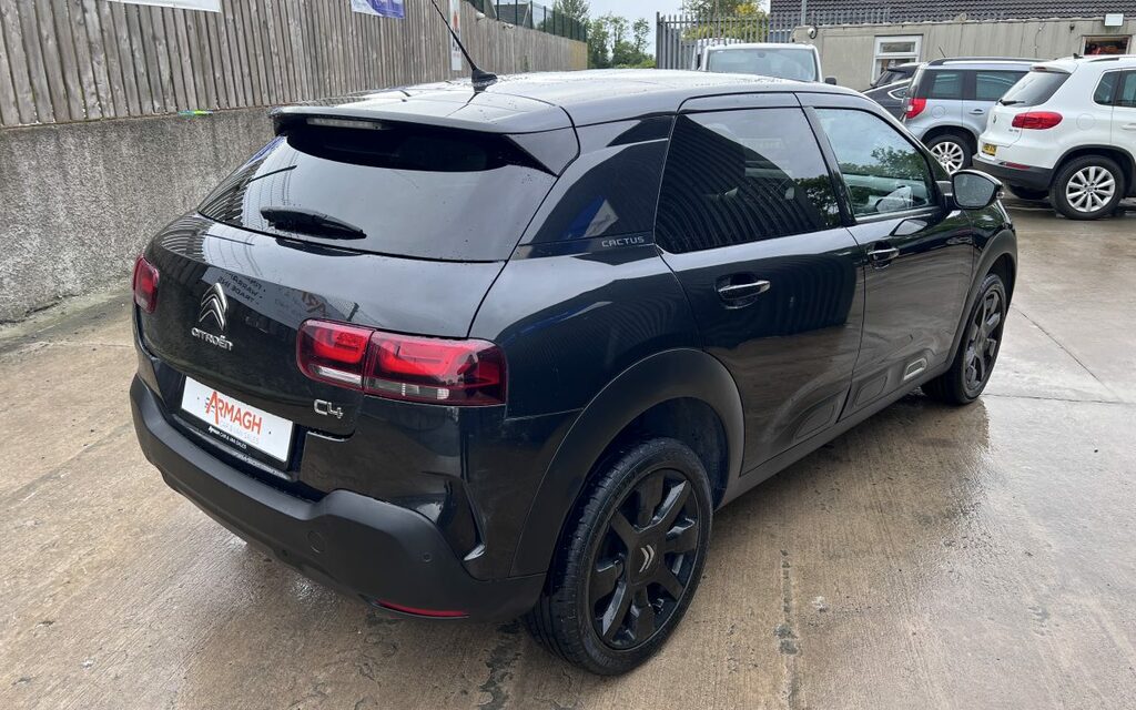 Citroen C4 Cactus Flair  #6