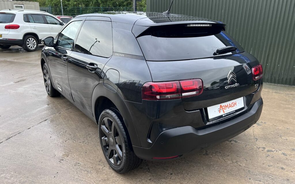 Citroen C4 Cactus Flair  #4