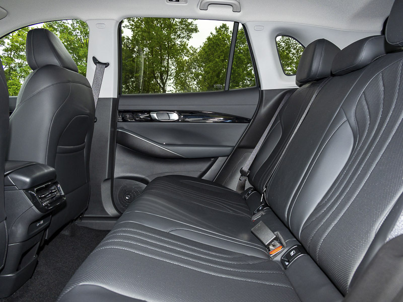 Geely Starray 1.5 Em-i Pro  Black #6