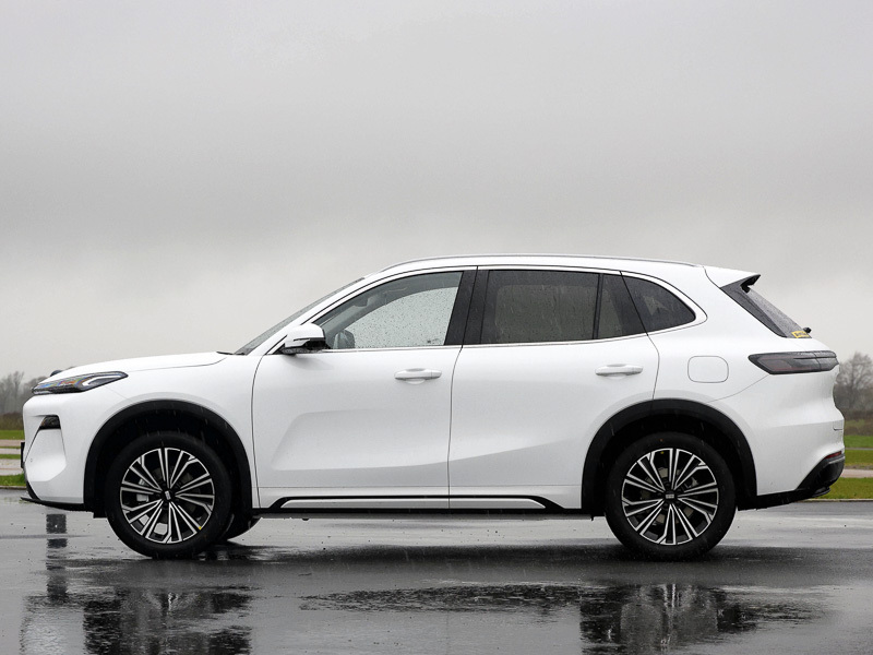 Geely Starray 1.5 Em-i Max PX26000 White #4