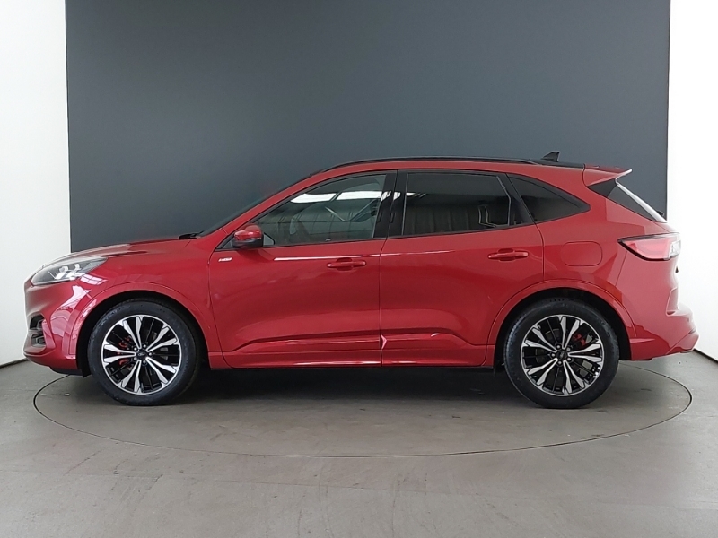 Ford Kuga 2.5 Fhev St-line X Edition Cvt HF23KWD Red #4