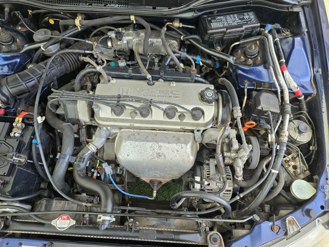 Honda Accord 2.3I Type V Green #15
