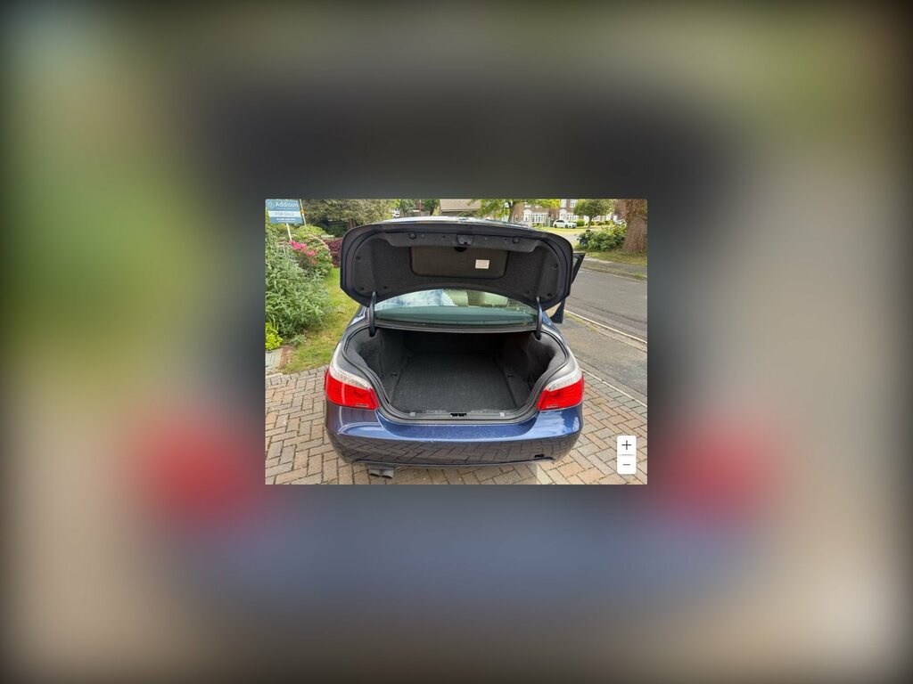 BMW 5 Series 3.0 525I M Sport Saloon Steptronic Euro Blue #2