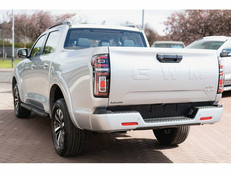 Great Wall POER300 Lux - Silver #6