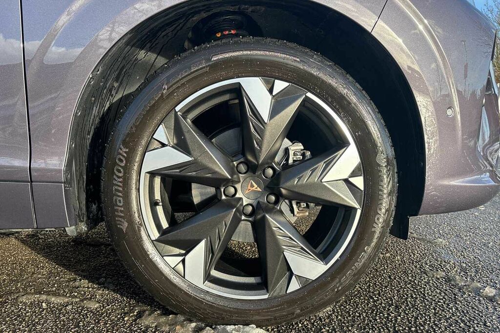 Cupra Terramar 1.5 Etsi 150 V2 Dsg DX75VFC Purple #5