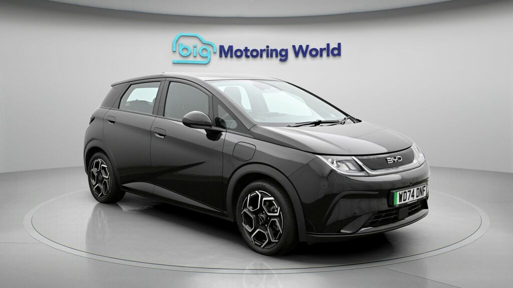 Byd Dolphin Comfort Black