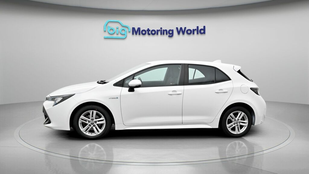 Toyota Corolla Icon White #4