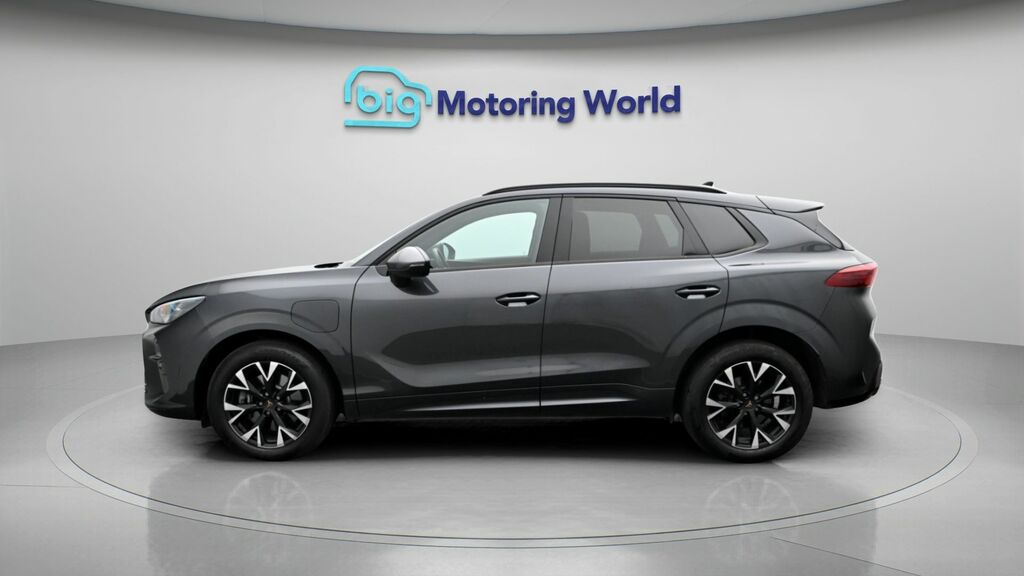 Cupra Terramar V1 Grey #4