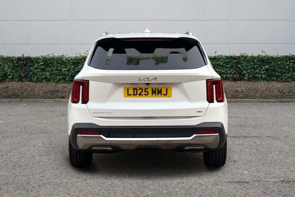 Kia Sorento 1.6 H T-gdi 3 Suv Hybrid Awd Euro LD25MMJ White #6