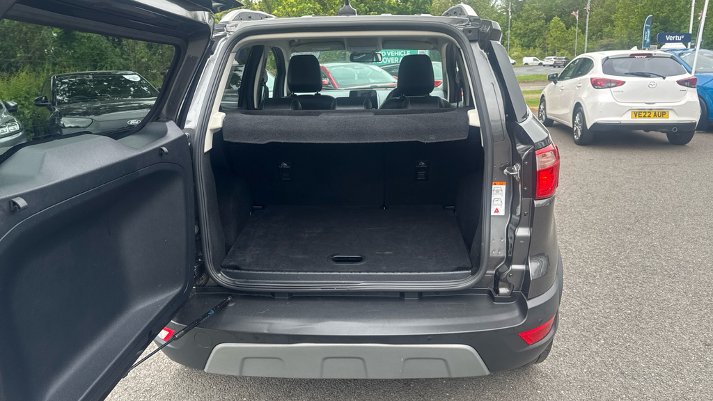 Ford Ecosport Titanium Grey #4