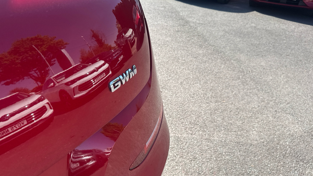 Great Wall  126Kw Pure 48Kwh Green #21