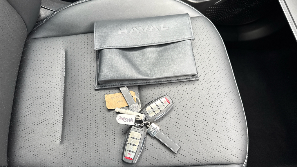 Great Wall Haval Jolion Pro 1.5 Ehev Lux Dht Grey #19