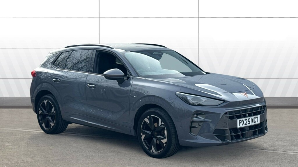 Cupra Terramar V2 Grey