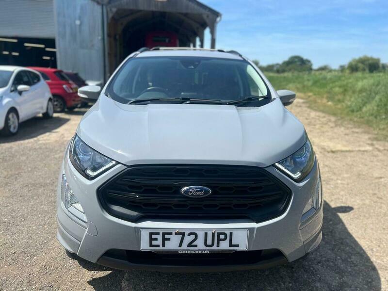 Ford Ecosport 1.0T Ecoboost St-line Euro EF72UPL Grey #6