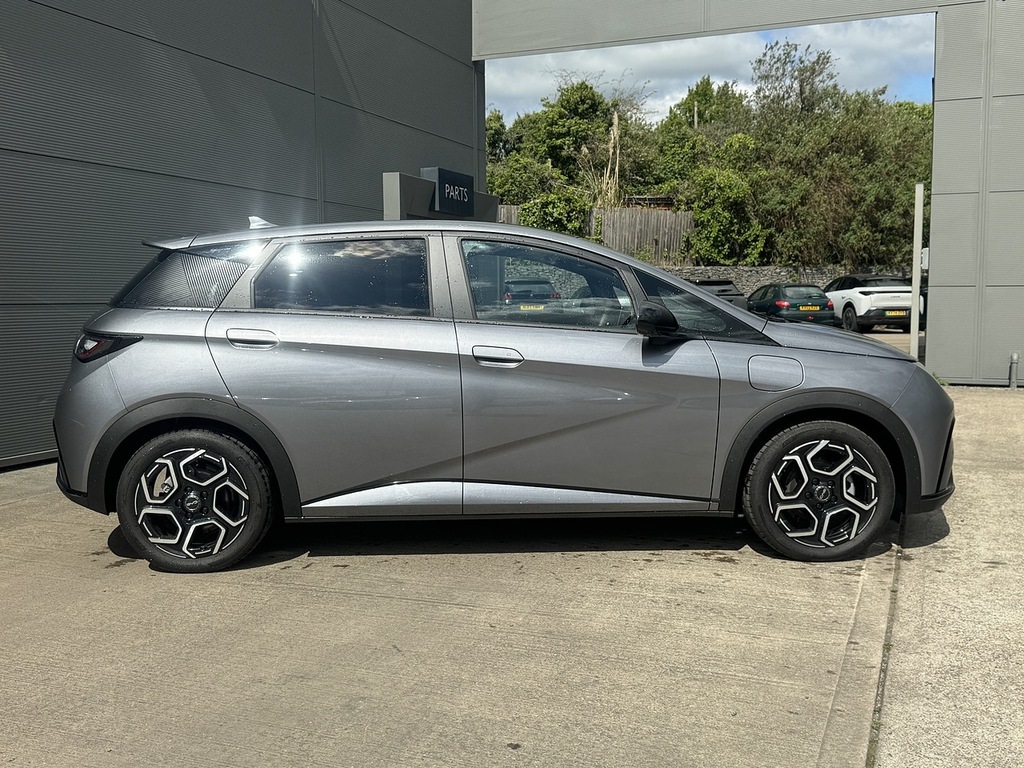 Byd Dolphin Design Grey #5