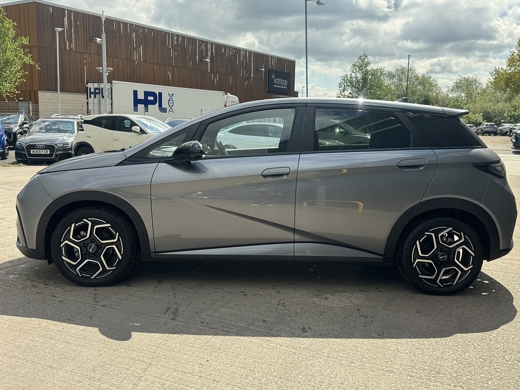 Byd Dolphin Design Grey #4