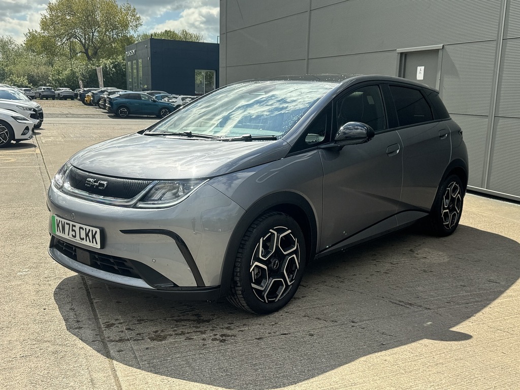 Byd Dolphin Design Grey #3