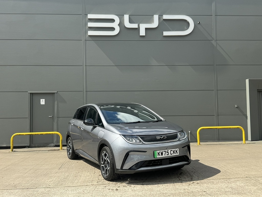 Byd Dolphin Design Grey