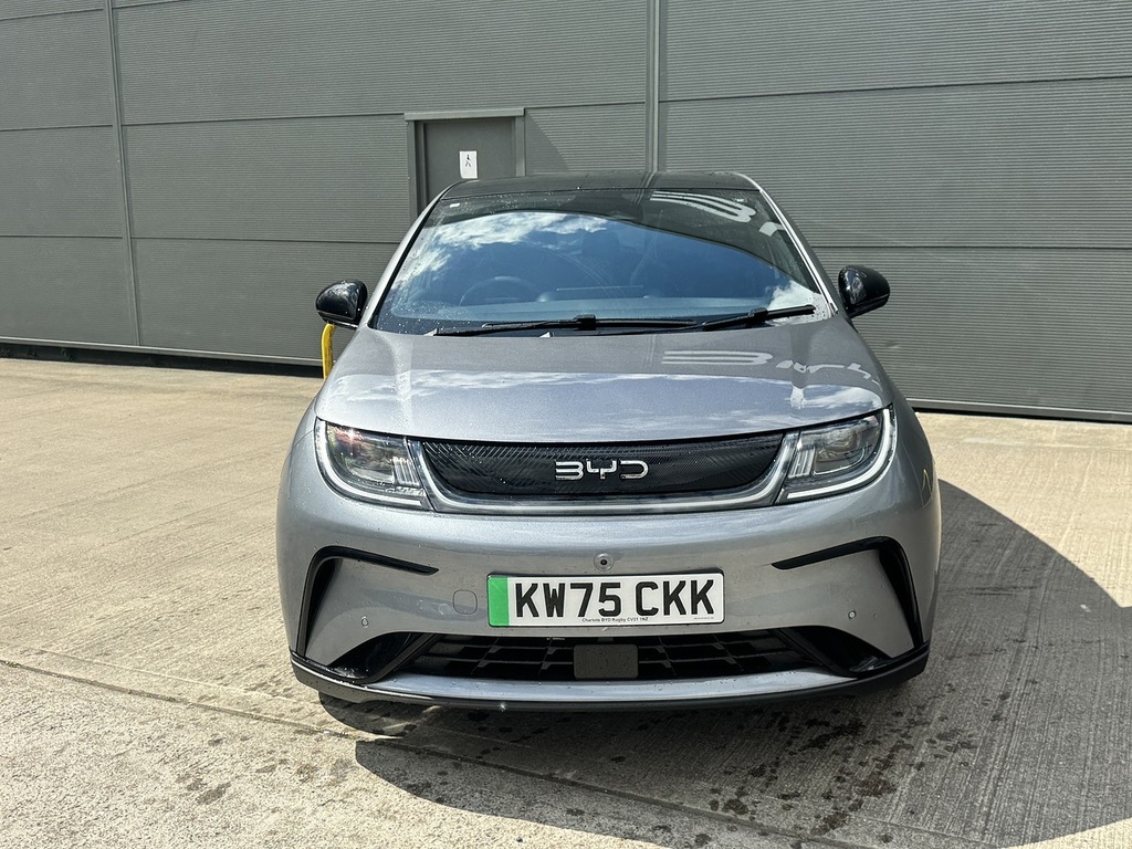 Byd Dolphin Design Grey #2