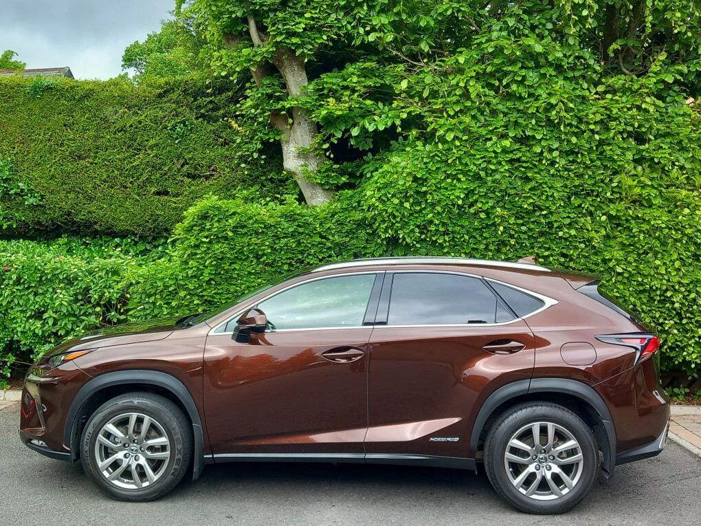 Lexus NX 300H Luxury Cvt Premium Nav SN68EDR Brown #5