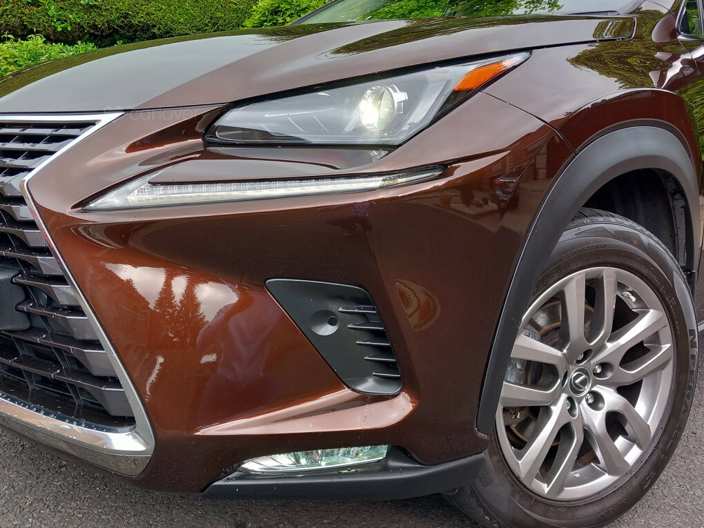 Lexus NX 300H Luxury Cvt Premium Nav SN68EDR Brown #3