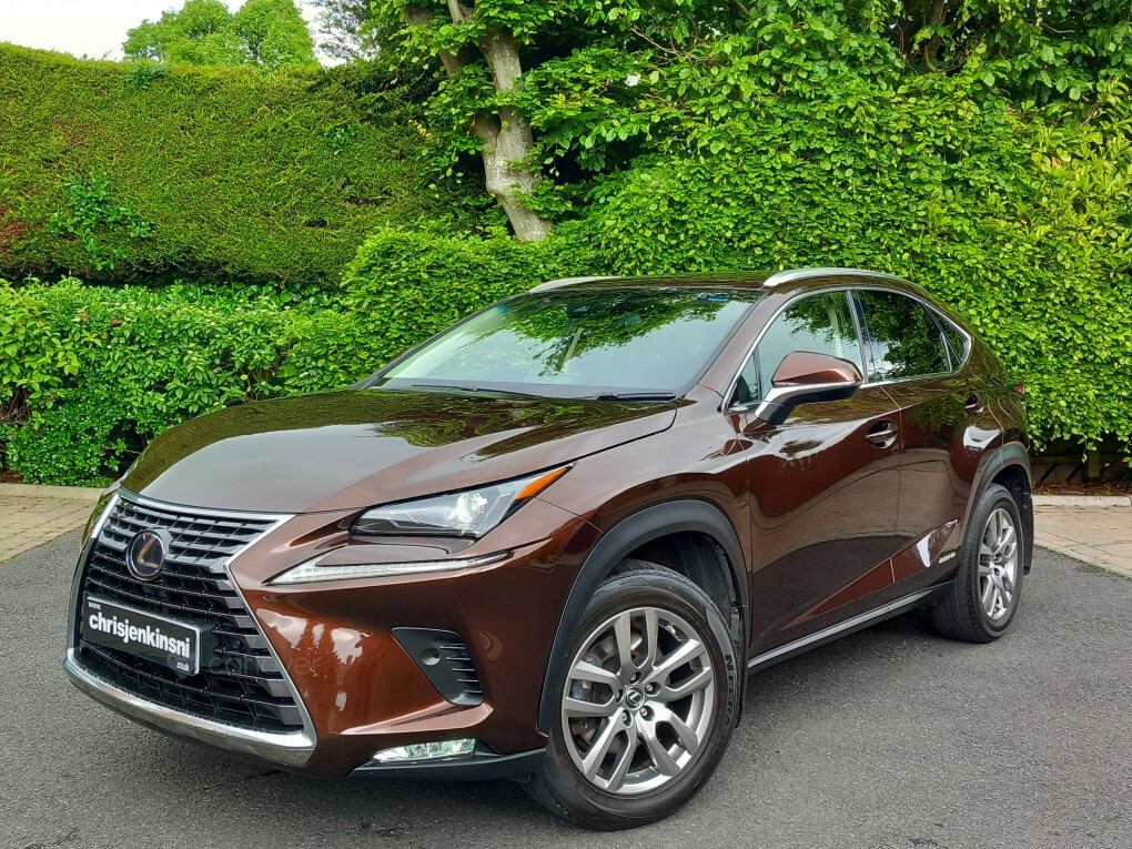 Lexus NX 300H Luxury Cvt Premium Nav SN68EDR Brown #2
