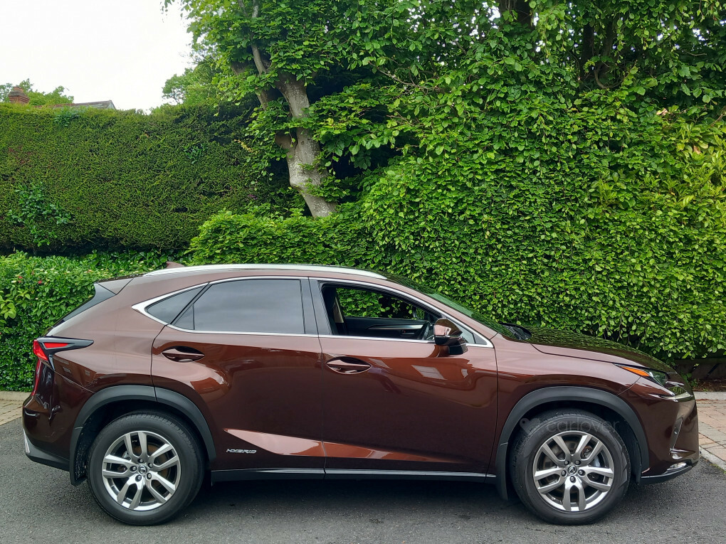 Lexus NX 300H Luxury Cvt Premium Nav SN68EDR Brown #4