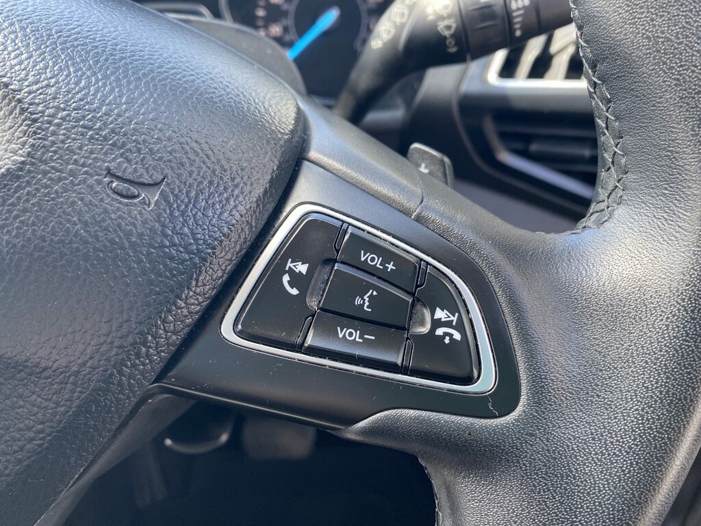 Ford  1.5 Ecoblue 120 Titanium Powershift Black #29