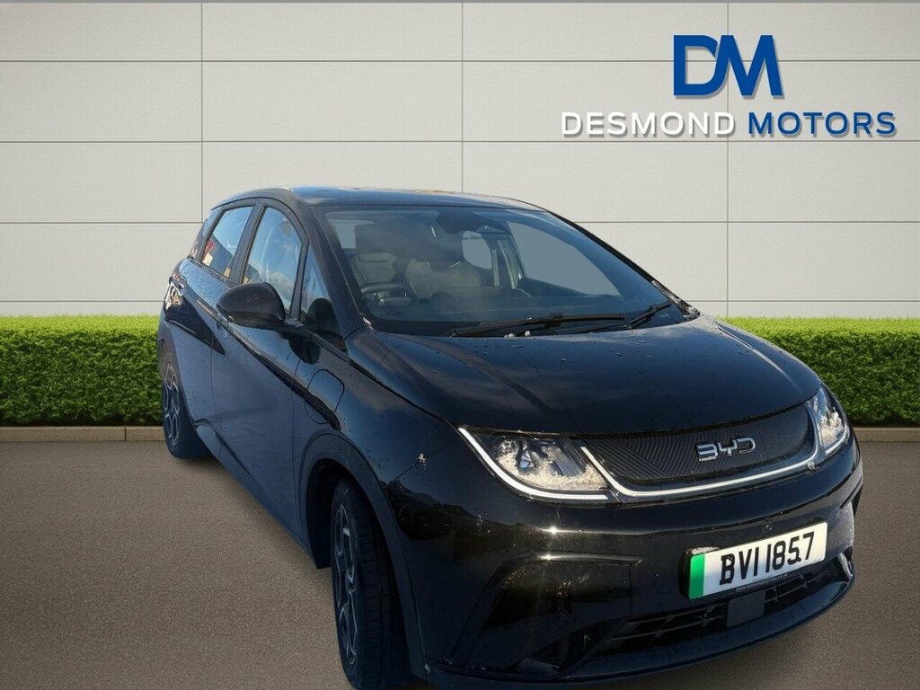 Byd Dolphin Comfort Black #4