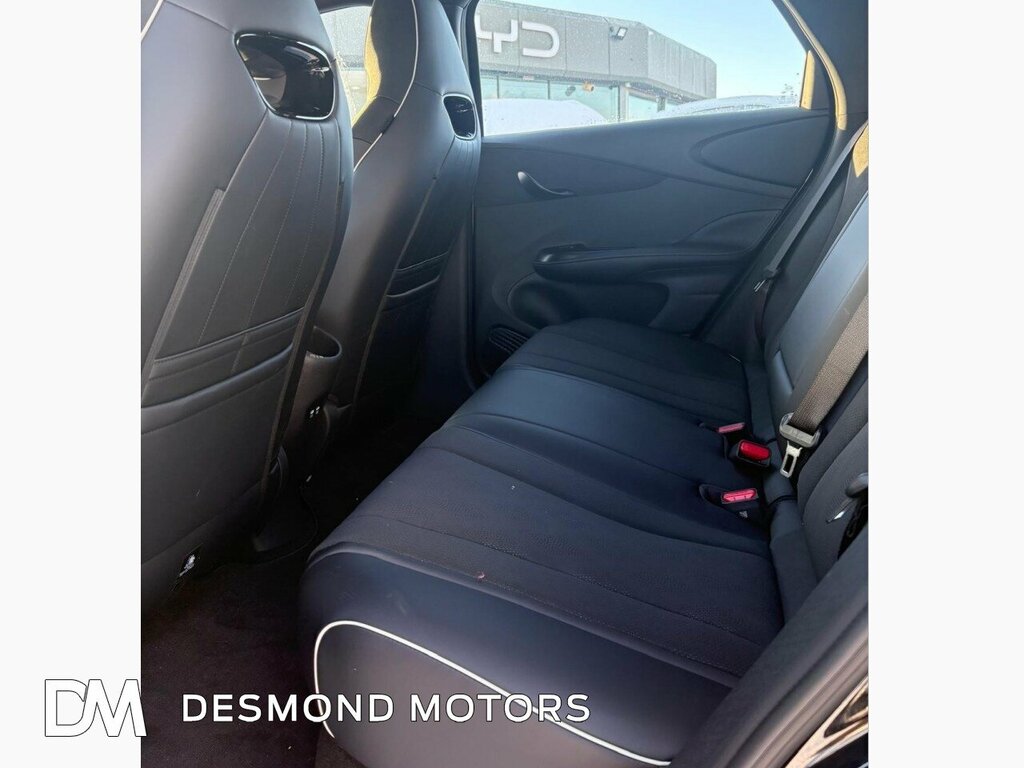 Byd Dolphin Comfort Black #6