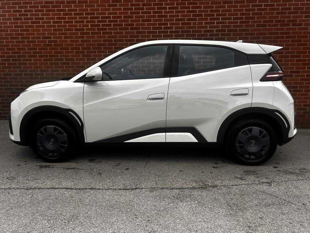 Byd Dolphin 65Kw Active 30Kwh YM75SNX White #4