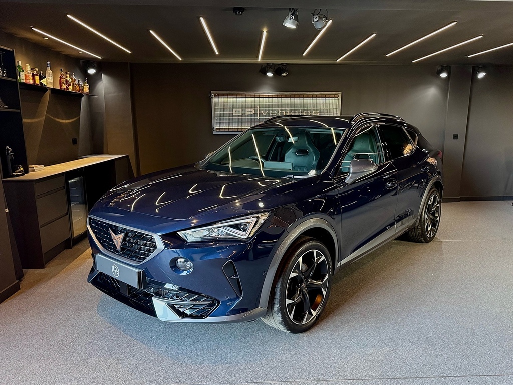 Cupra Formentor Tsi V2 LS72JJX Blue #6