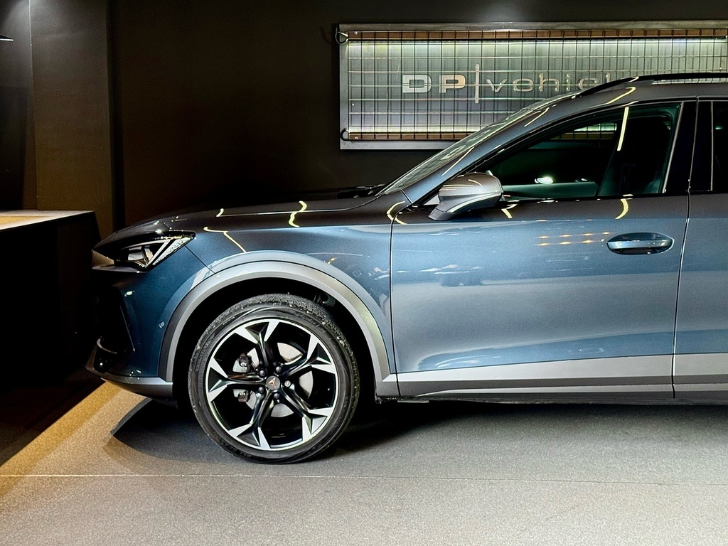 Cupra Formentor Tsi V2 DC23EFA Grey #6