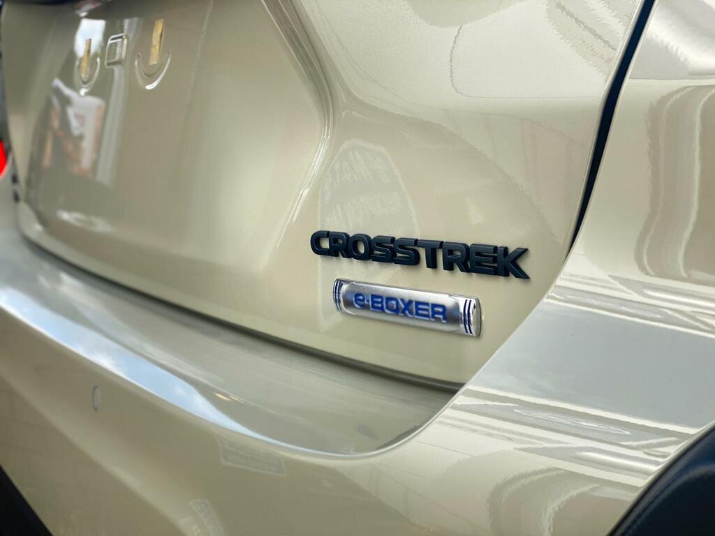 Subaru Crosstrek Touring Grey #50