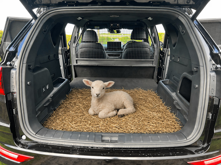 SsangYong Rexton Est 2.2 K30 Au Black #5