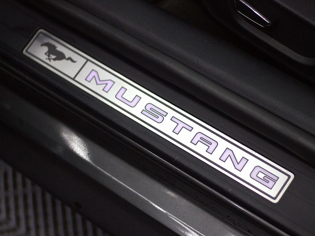 Ford Mustang 5.0 V8 Gt Fastback Euro 6 CV68FFX #6