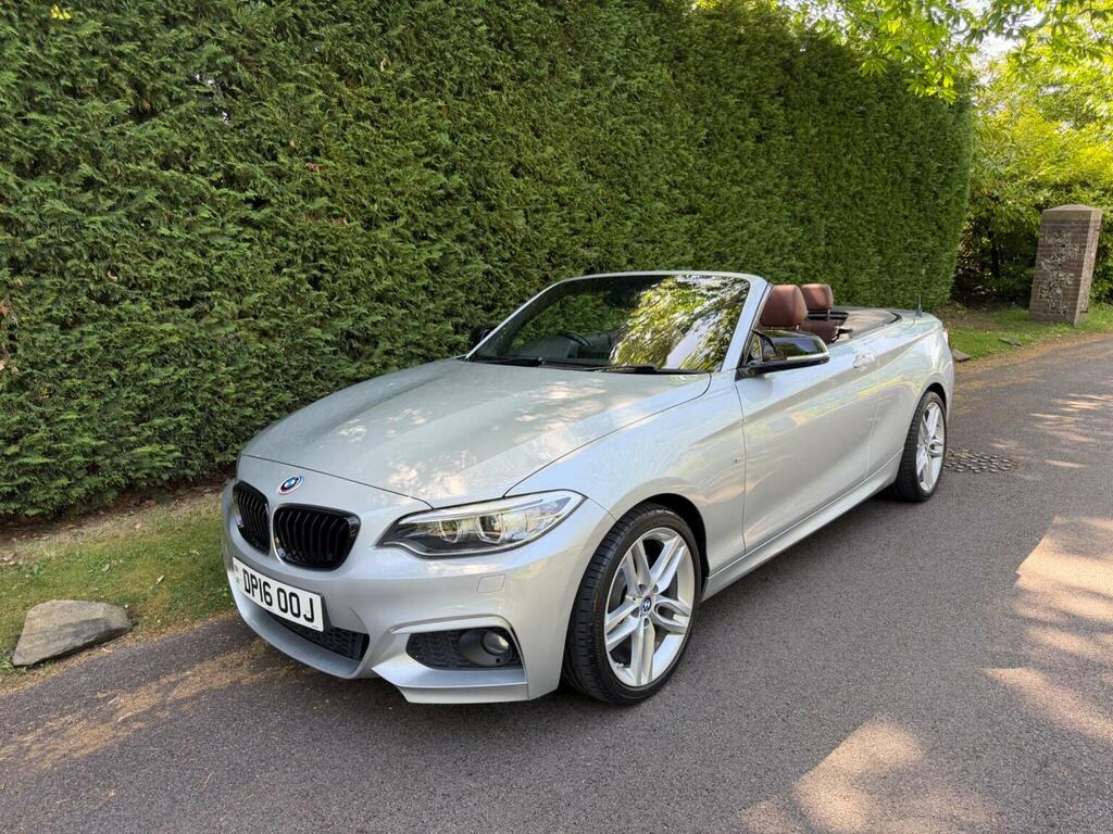 BMW 2 Series Convertible 2.0 220D M Sport Euro 6 Ss Silver