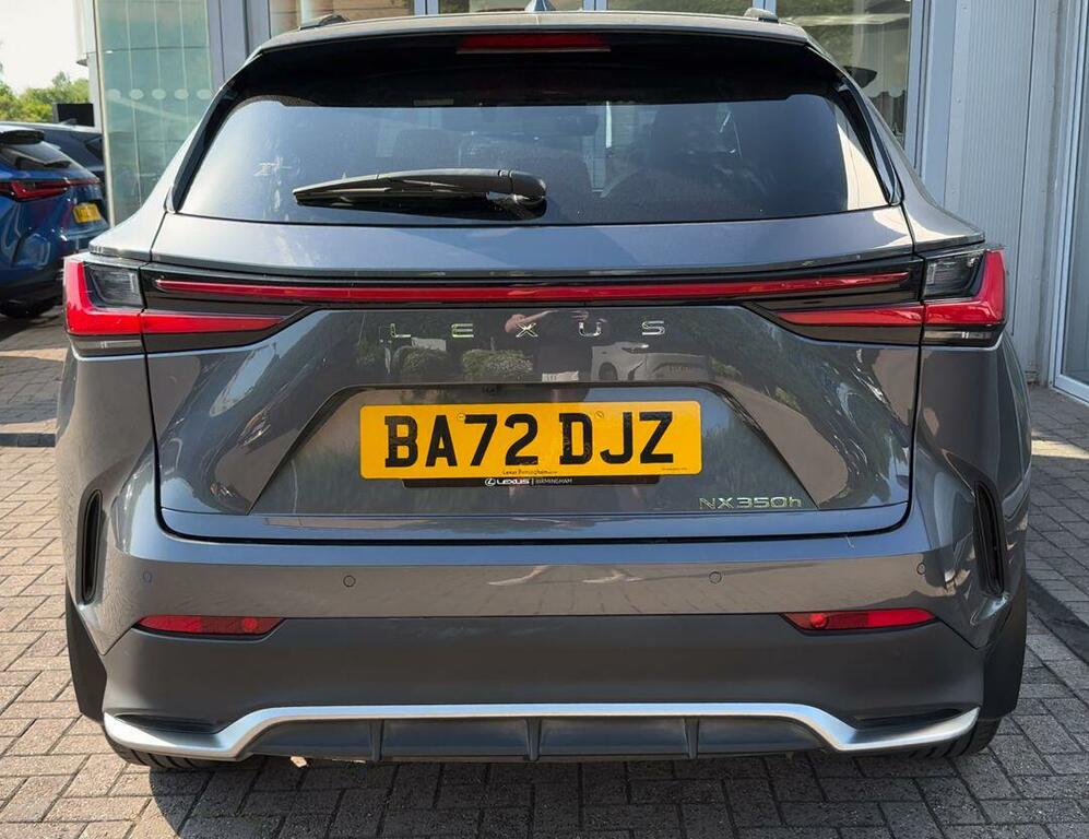 Lexus NX 350H F-sport Grey #5