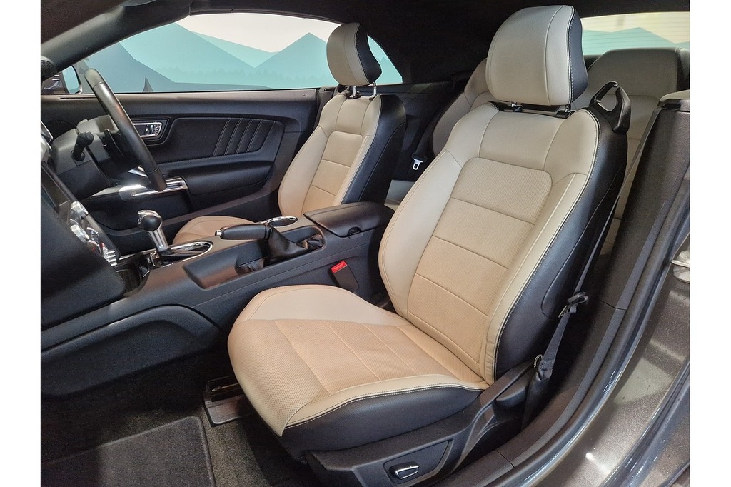 Ford Mustang T Ecoboost WUI9656 Grey #6