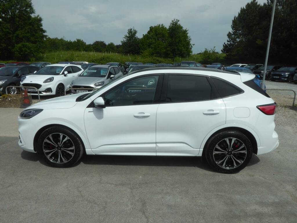 Ford Kuga 2.5 Fhev St-line X Edition Navigation 190 Ps FE24WSD White #6