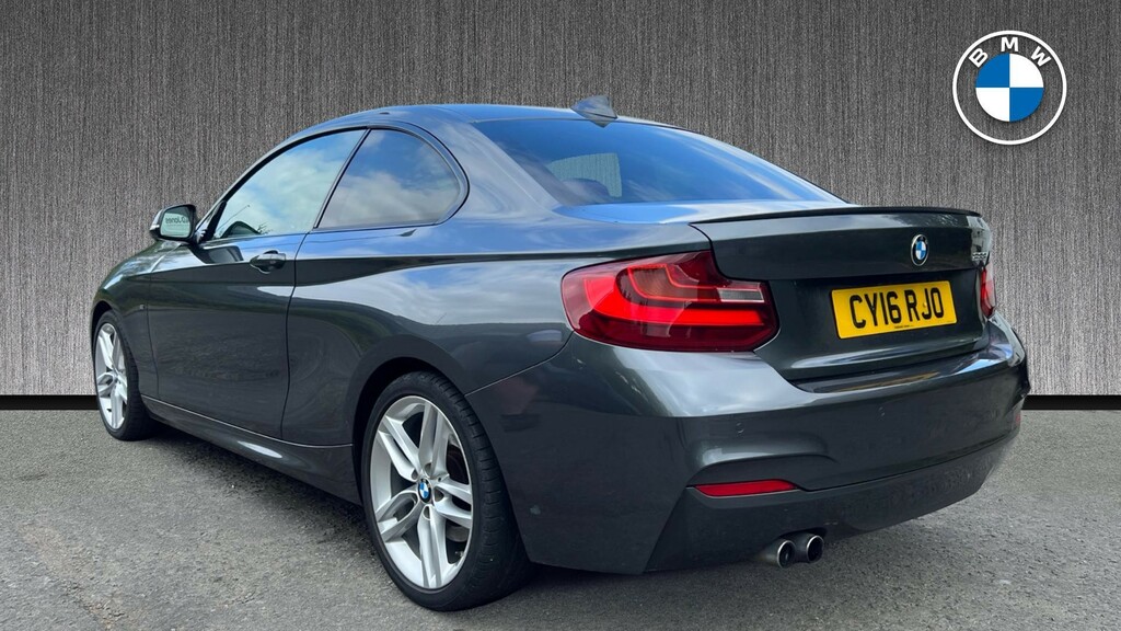 BMW 2 Series 2.0 228I M Sport Euro 6 Ss Grey #2