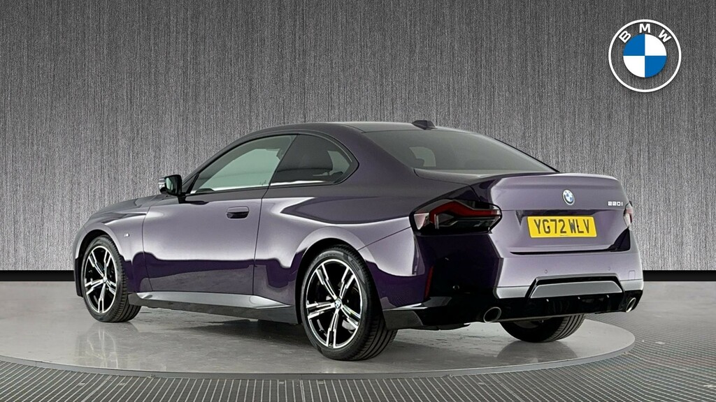 BMW 2 Series 2.0 220I M Sport Euro 6 Ss  #2