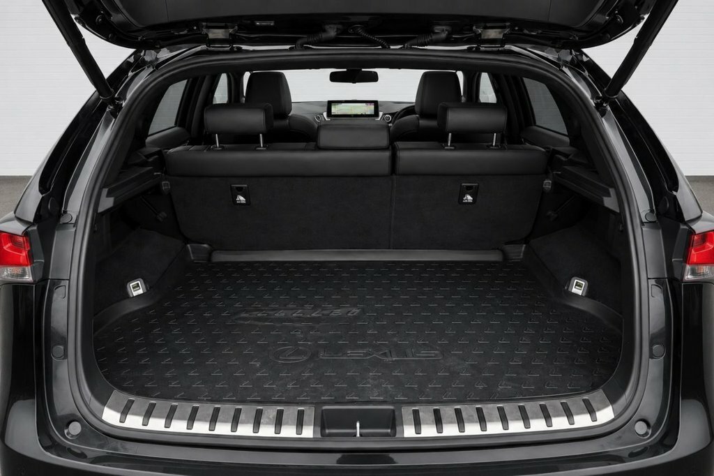 Lexus NX 2.5L F Sport FN19YSM Black #6