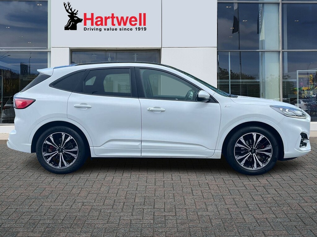 Ford Kuga 1.5 Ecoblue St-line X Suv Euro 6 R070OVX White #2