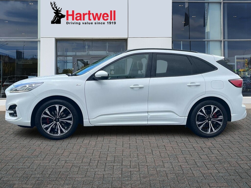 Ford Kuga 1.5 Ecoblue St-line X Suv Euro 6 R070OVX White #6