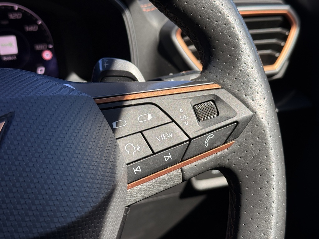 Seat Cupra Cupra Formentor V2 Tsi 4Drive 190 7-Speed Grey #24